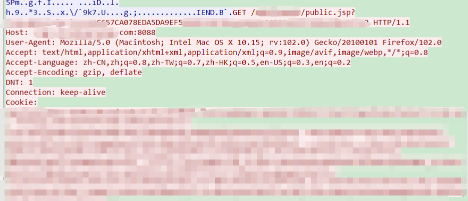 ×ðÁú¿Ê± - ÈËÉú¾ÍÊDz«!