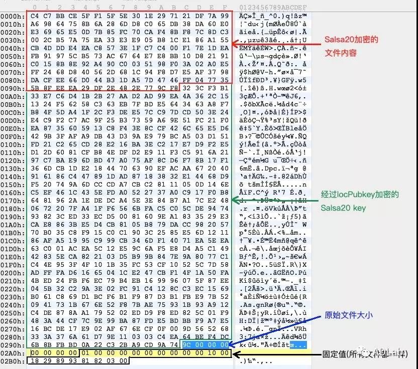 ×ðÁú¿Ê± - ÈËÉú¾ÍÊDz«!
