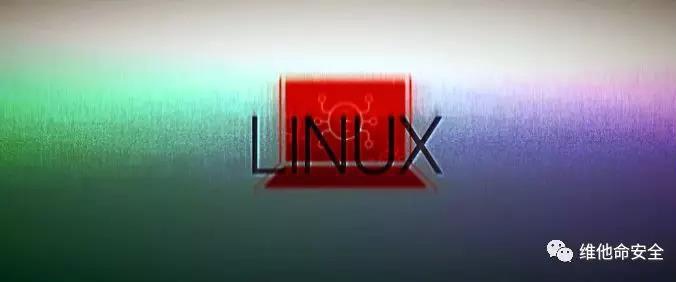 ×ðÁú¿Ê± - ÈËÉú¾ÍÊDz«!