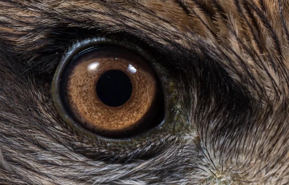 ������ʱ - �������ǲ�!